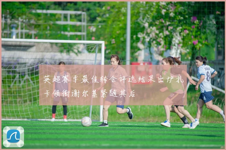 英超赛季最佳转会评选结果出炉扎卡领衔谢尔基紧随其后