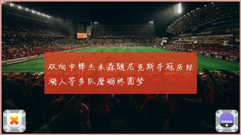 双向中锋杰米森随尼克斯夺冠历经湖人等多队磨砺终圆梦